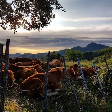 Agriturismo Il Falco Del Monte Fumaiolo Alfero Buitenkant foto
