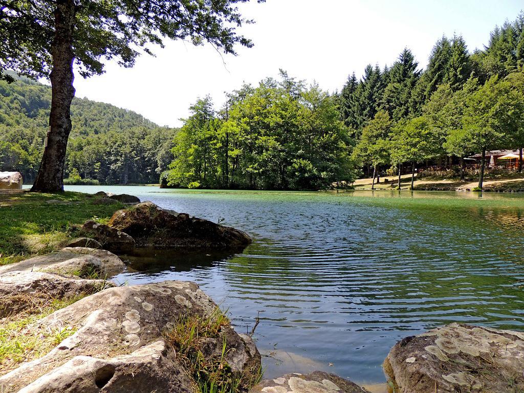 Agriturismo Il Falco Del Monte Fumaiolo Alfero Buitenkant foto